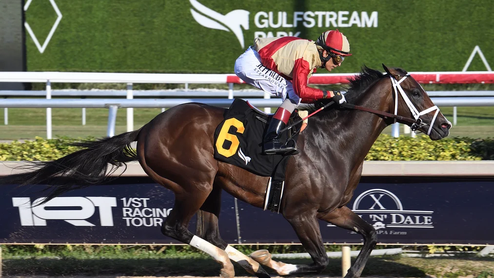 Sensational Saudi Cup: Forever Young Edges Romantic Warrior