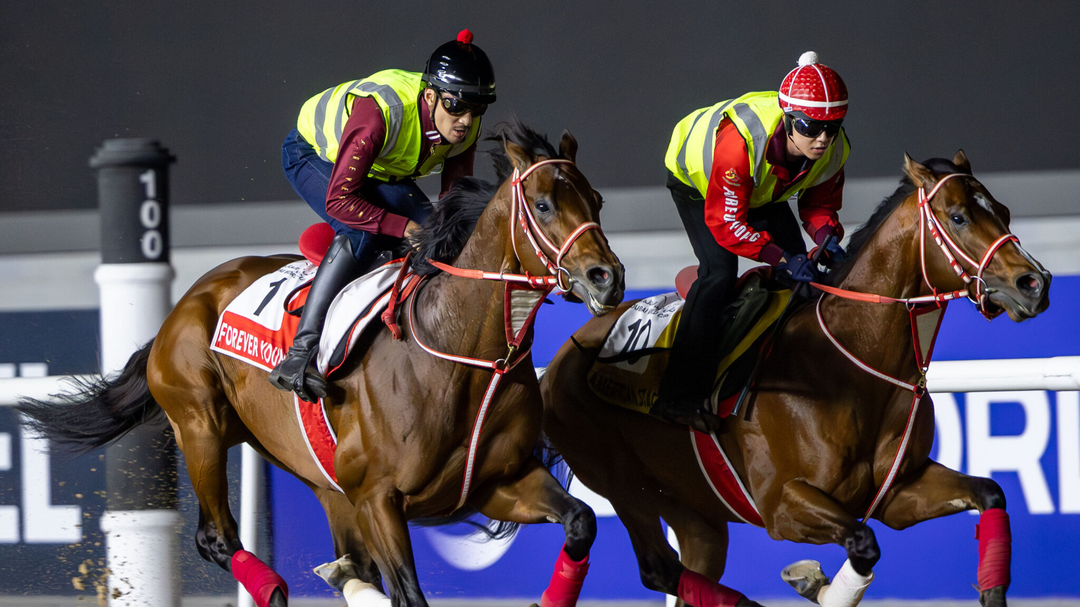 Sensational Saudi Cup: Forever Young Edges Romantic Warrior
