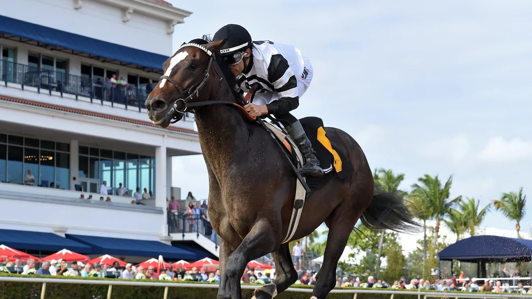 Sensational Saudi Cup: Forever Young Edges Romantic Warrior