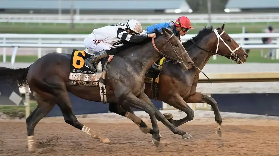 Sensational Saudi Cup: Forever Young Edges Romantic Warrior