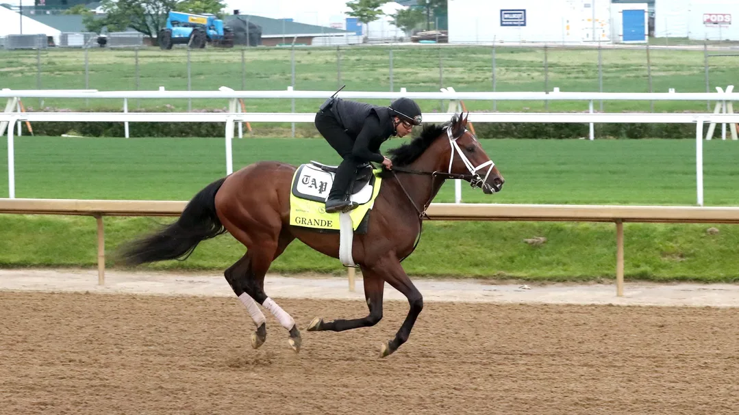 Sensational Saudi Cup: Forever Young Edges Romantic Warrior