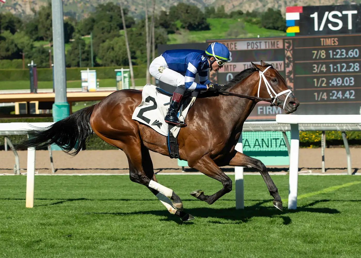 Sensational Saudi Cup: Forever Young Edges Romantic Warrior