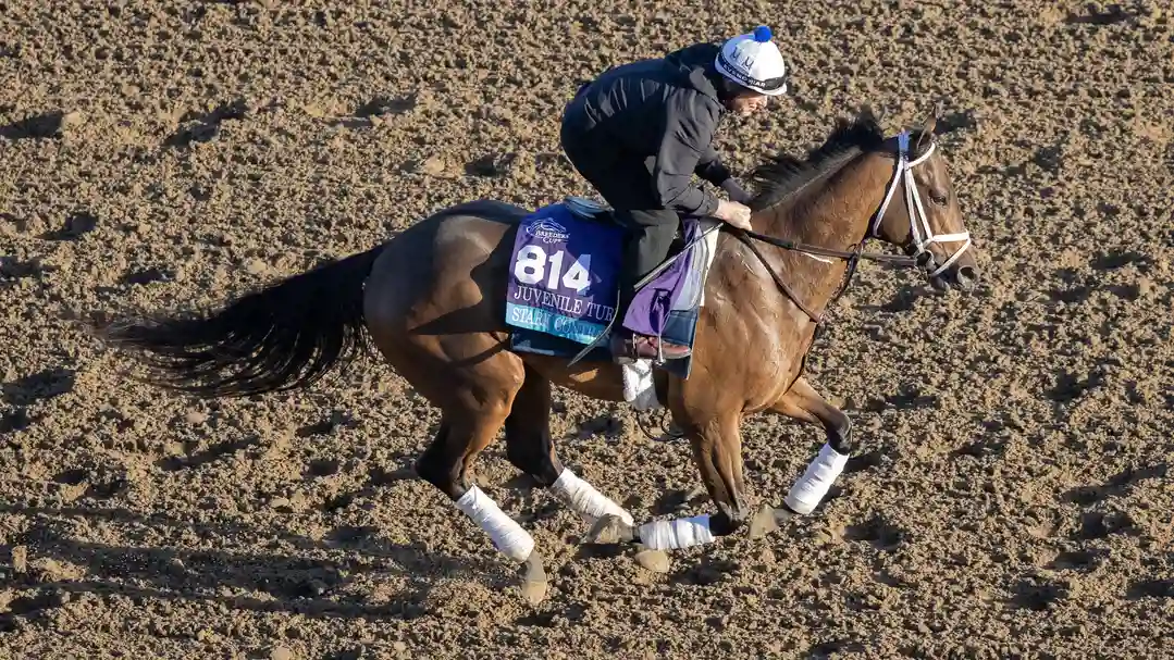 Sensational Saudi Cup: Forever Young Edges Romantic Warrior