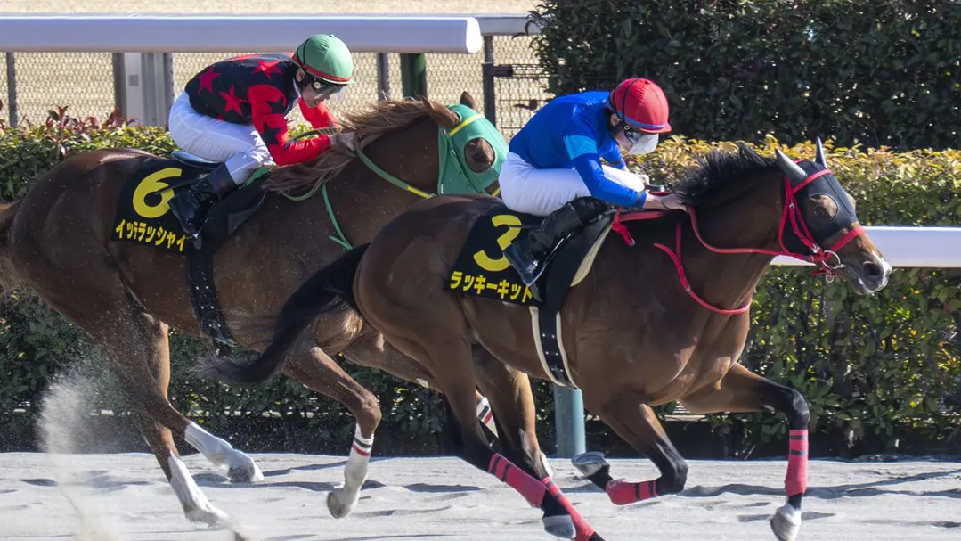 Sensational Saudi Cup: Forever Young Edges Romantic Warrior