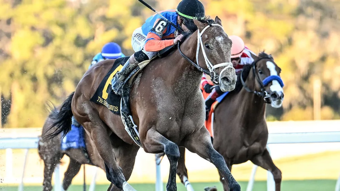 Sensational Saudi Cup: Forever Young Edges Romantic Warrior