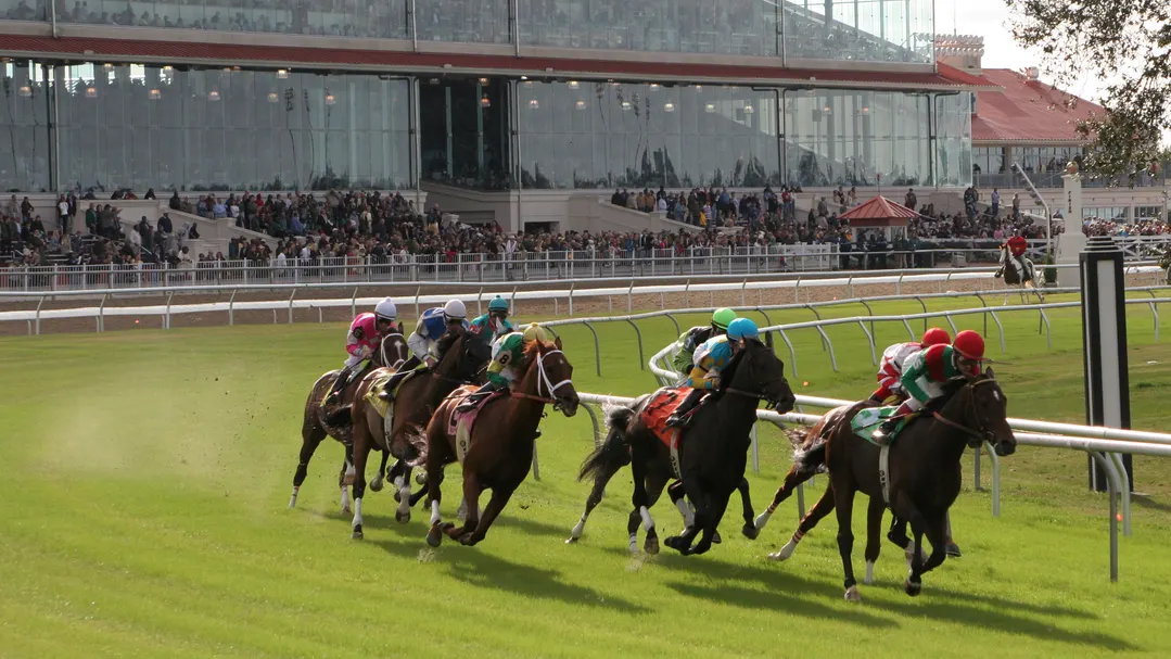 Sensational Saudi Cup: Forever Young Edges Romantic Warrior