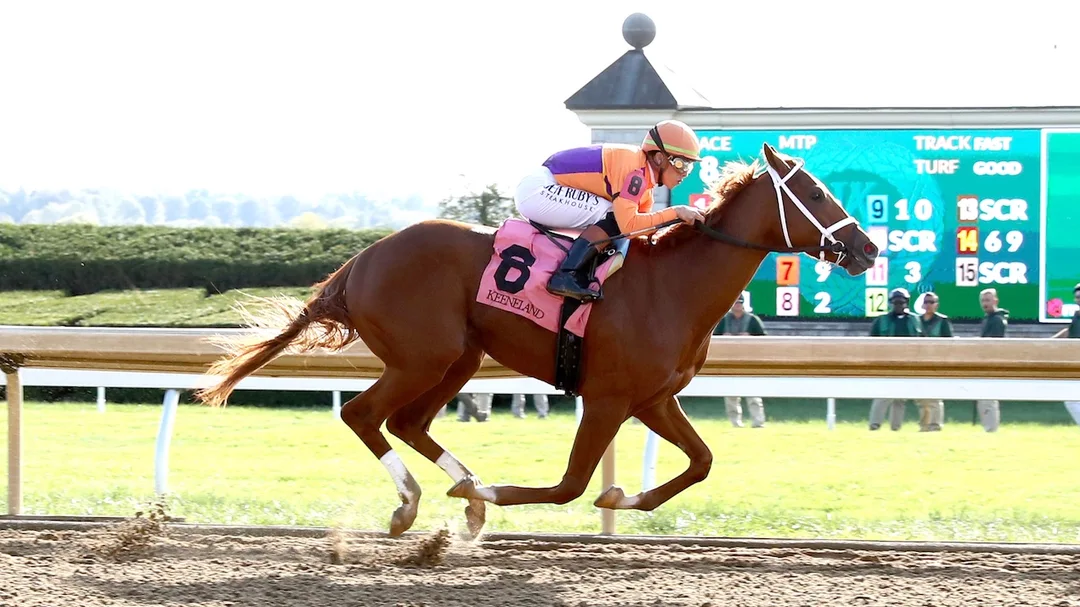 Sensational Saudi Cup: Forever Young Edges Romantic Warrior