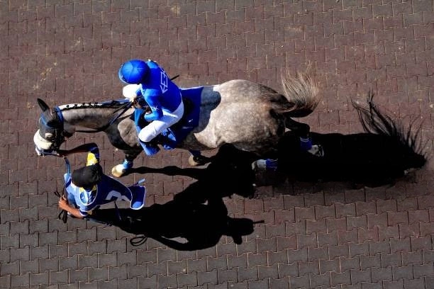 Sensational Saudi Cup: Forever Young Edges Romantic Warrior