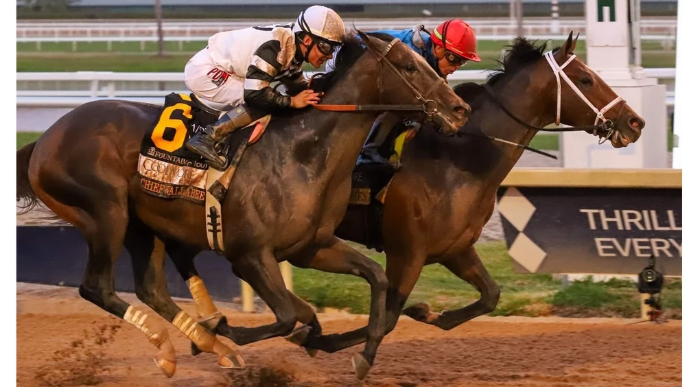 Sensational Saudi Cup: Forever Young Edges Romantic Warrior