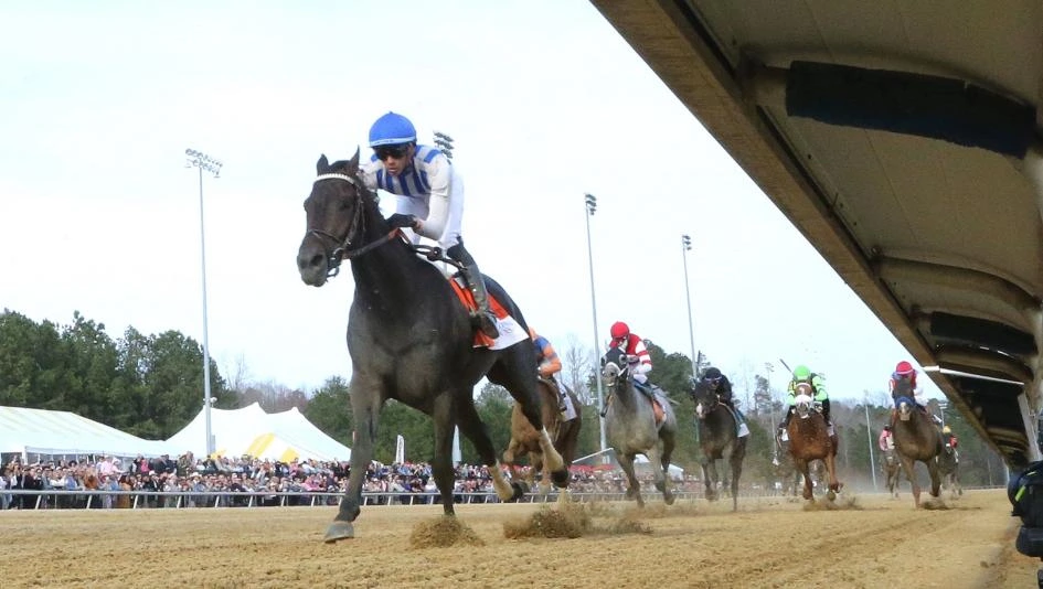 Sensational Saudi Cup: Forever Young Edges Romantic Warrior