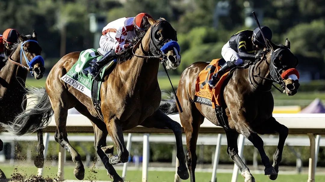 Sensational Saudi Cup: Forever Young Edges Romantic Warrior