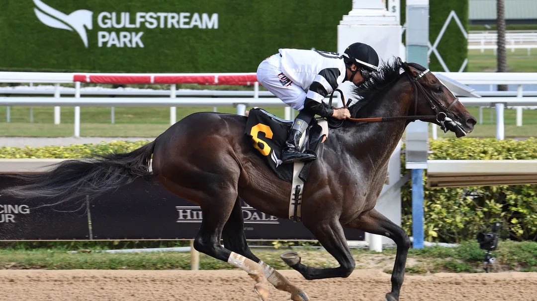 Sensational Saudi Cup: Forever Young Edges Romantic Warrior