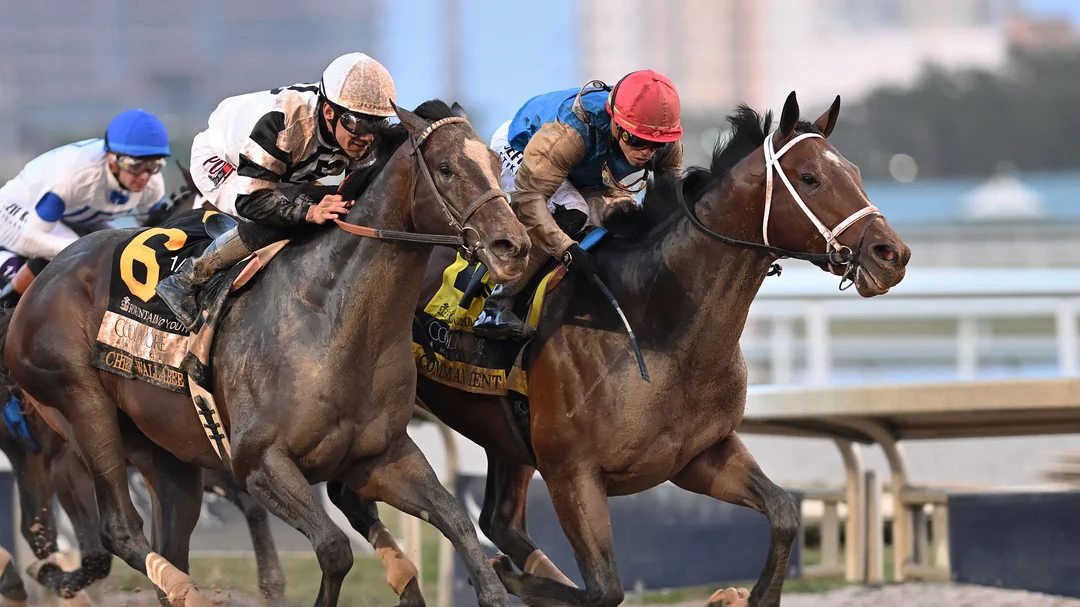 Sensational Saudi Cup: Forever Young Edges Romantic Warrior