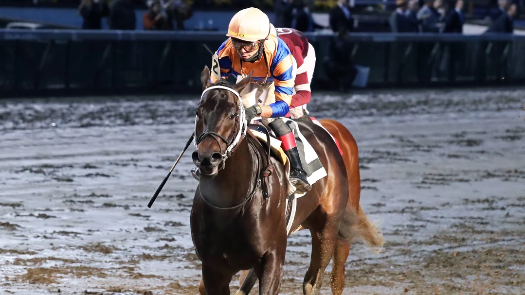 Sensational Saudi Cup: Forever Young Edges Romantic Warrior