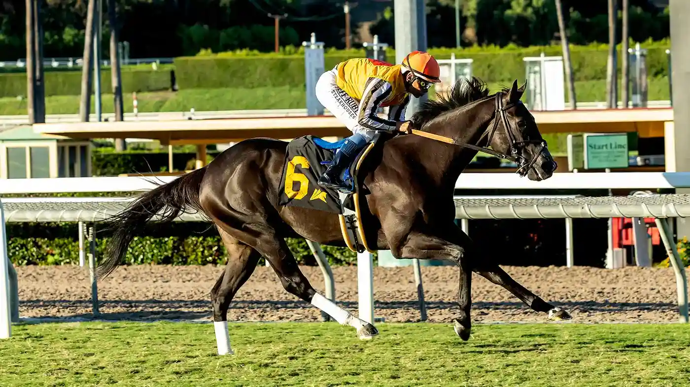 Sensational Saudi Cup: Forever Young Edges Romantic Warrior