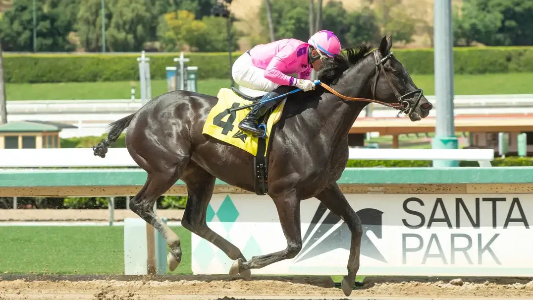 Sensational Saudi Cup: Forever Young Edges Romantic Warrior