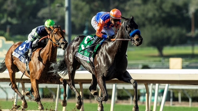 Sensational Saudi Cup: Forever Young Edges Romantic Warrior