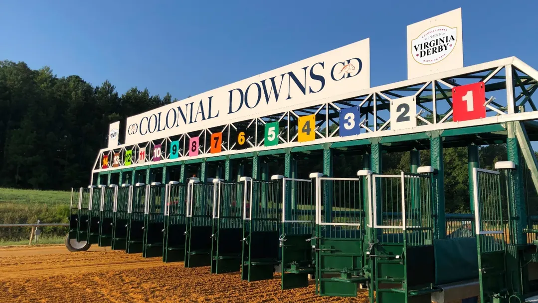 Sensational Saudi Cup: Forever Young Edges Romantic Warrior