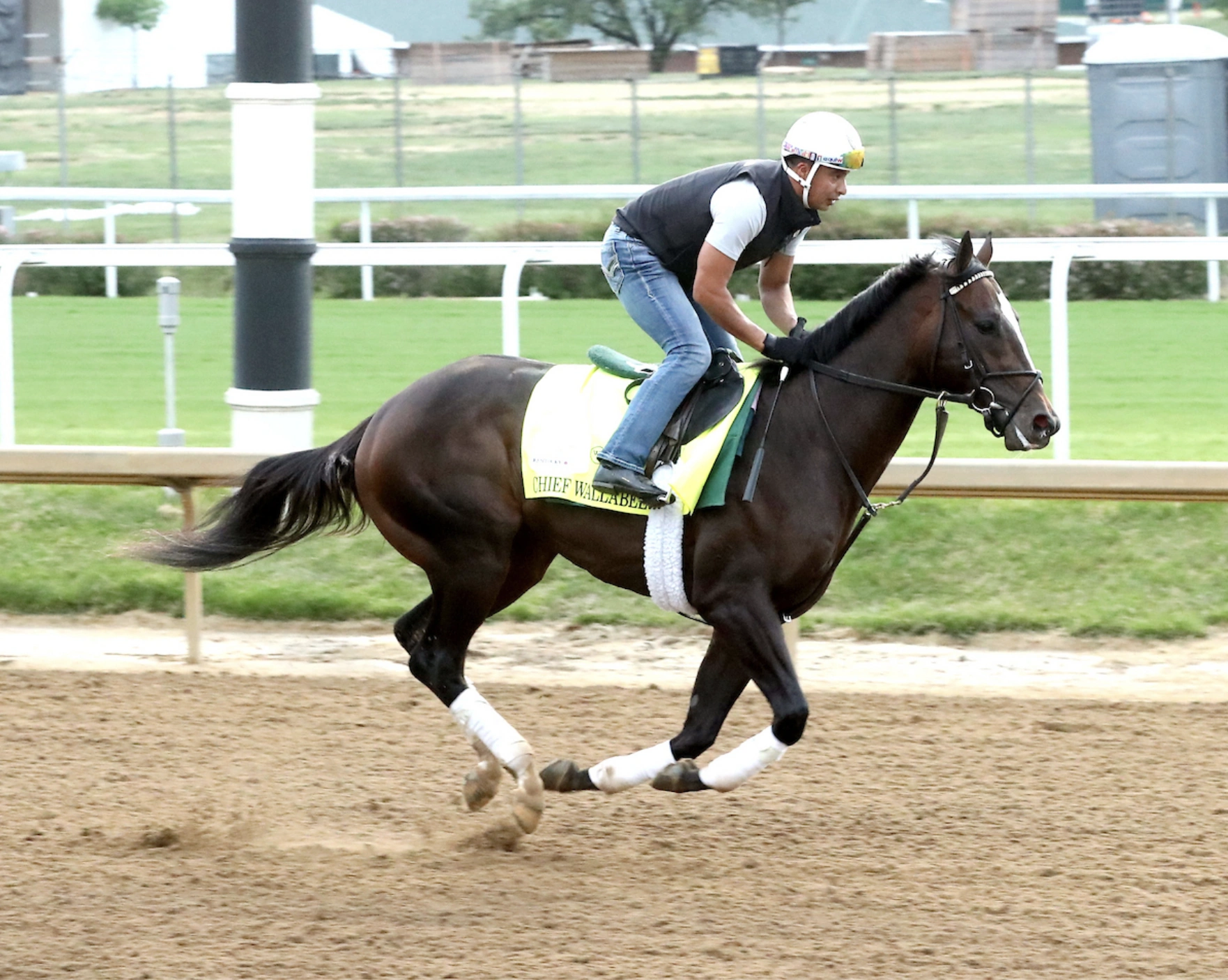 Sensational Saudi Cup: Forever Young Edges Romantic Warrior