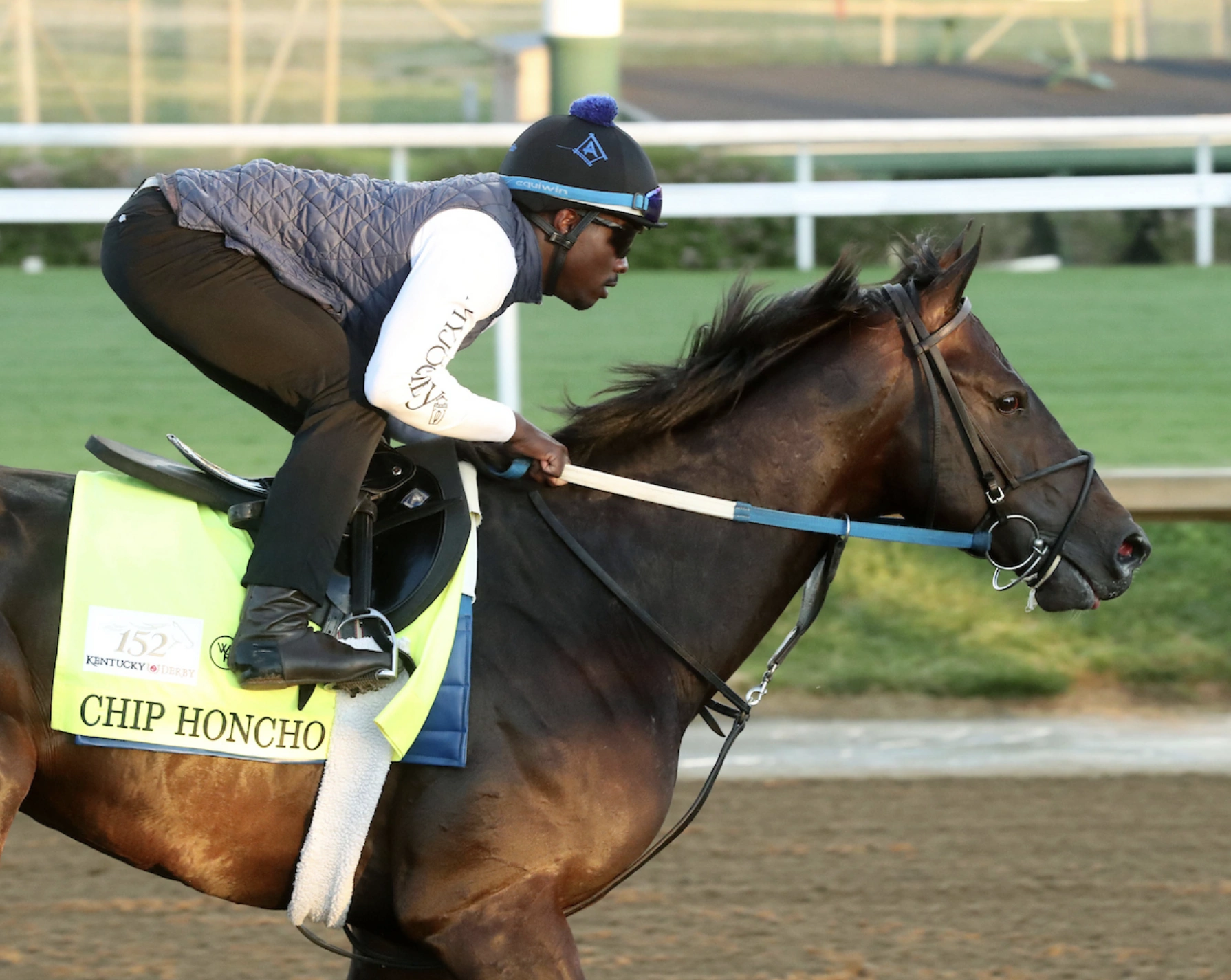 Sensational Saudi Cup: Forever Young Edges Romantic Warrior
