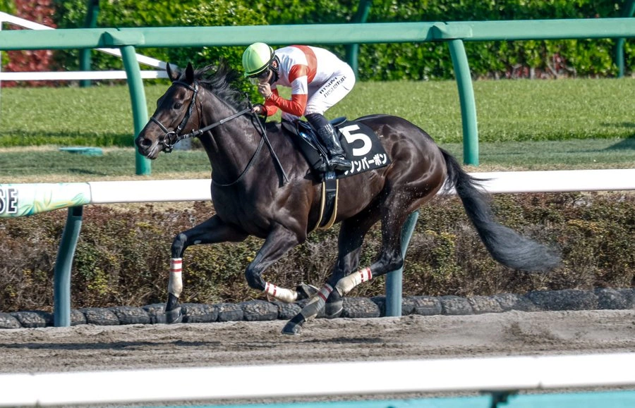 Sensational Saudi Cup: Forever Young Edges Romantic Warrior