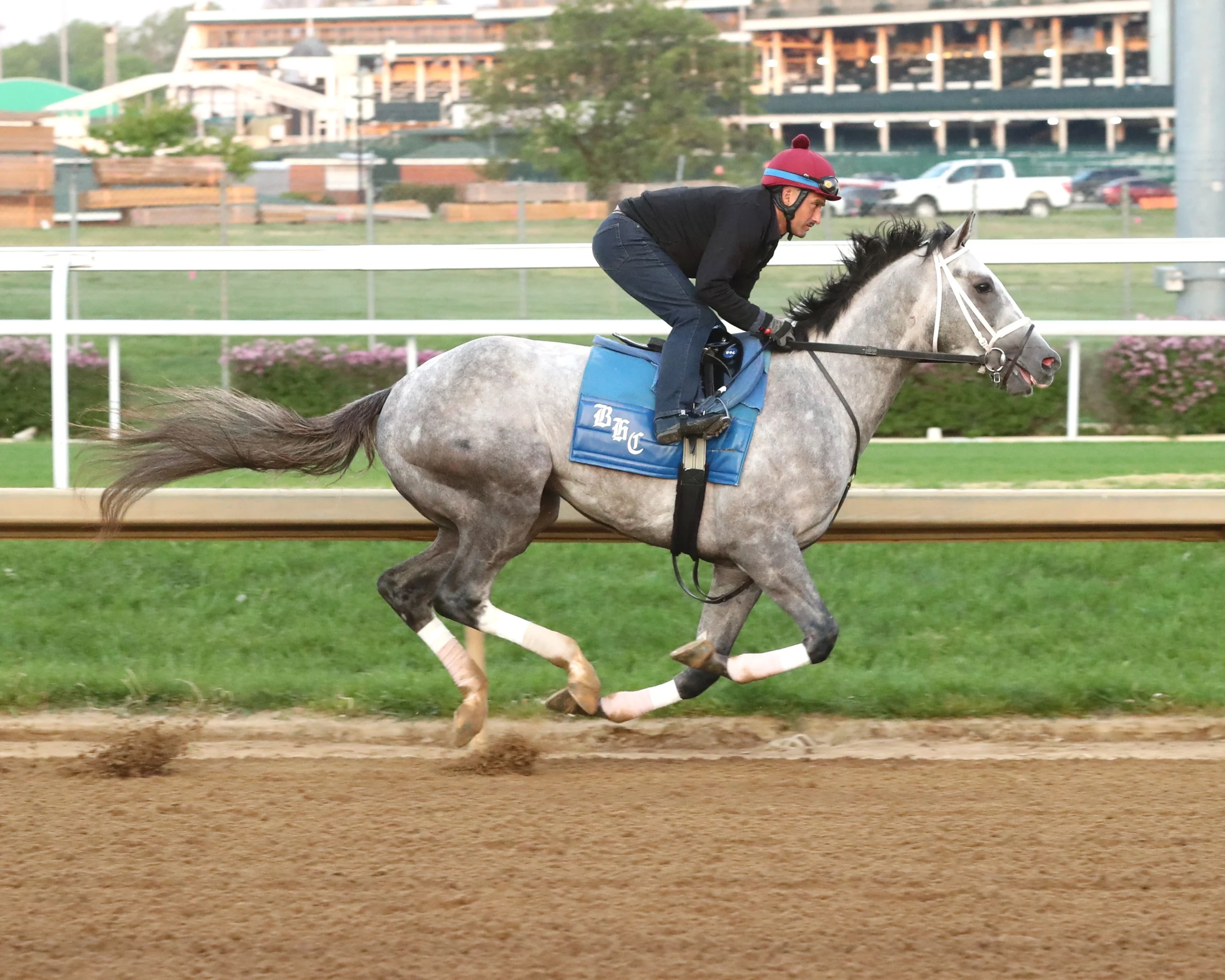 Sensational Saudi Cup: Forever Young Edges Romantic Warrior