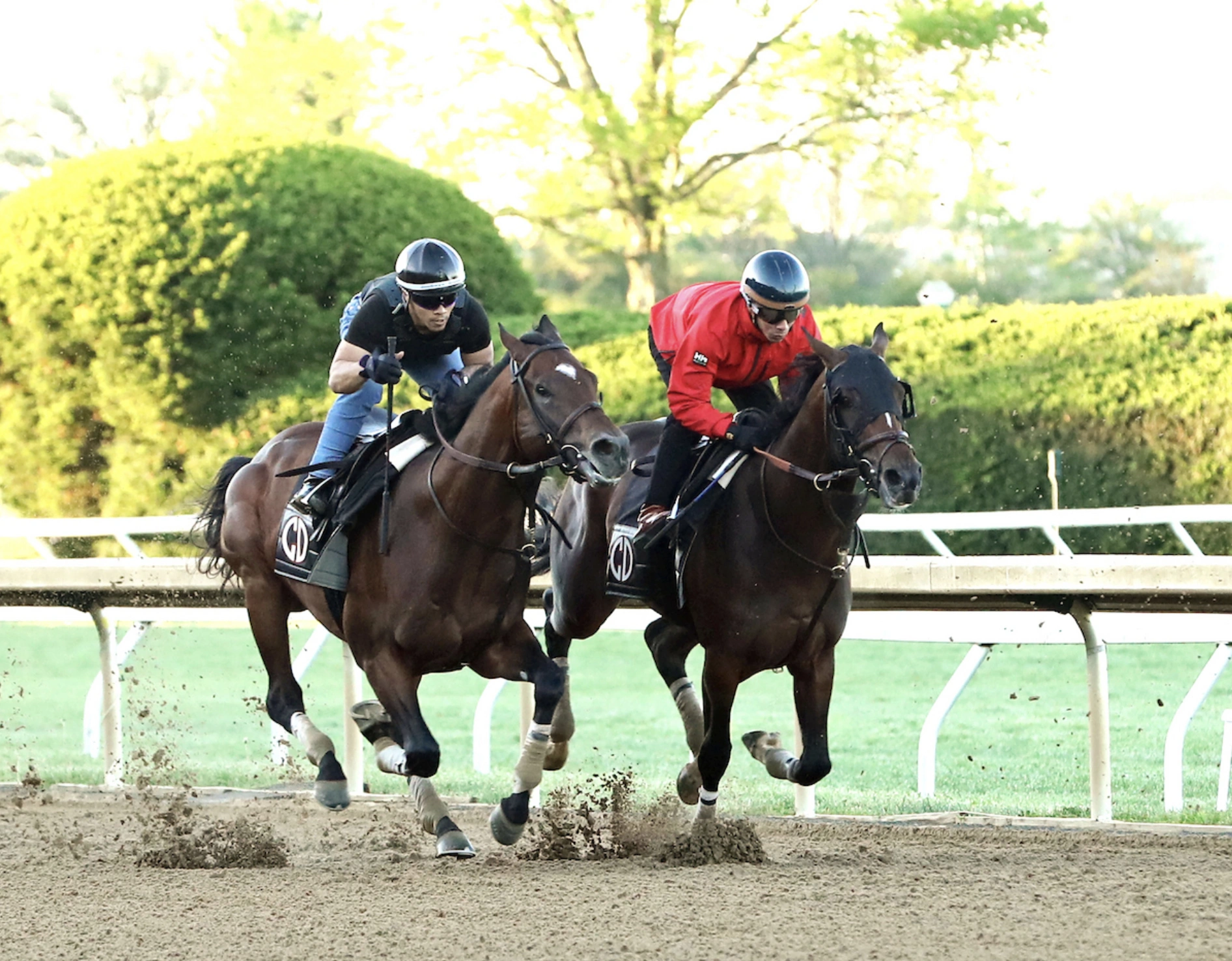 Sensational Saudi Cup: Forever Young Edges Romantic Warrior