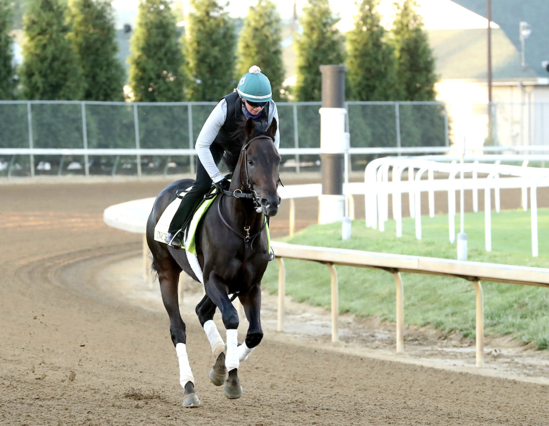 Sensational Saudi Cup: Forever Young Edges Romantic Warrior