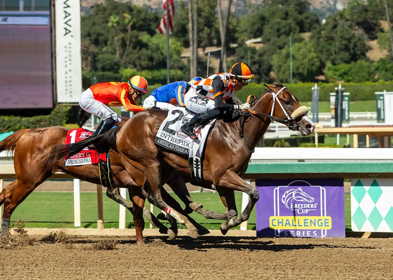 Sensational Saudi Cup: Forever Young Edges Romantic Warrior