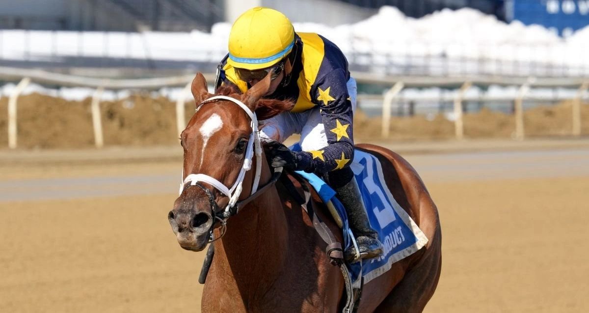 Sensational Saudi Cup: Forever Young Edges Romantic Warrior