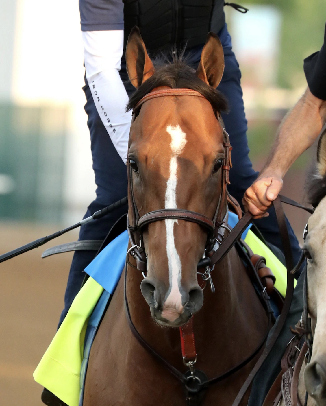 Sensational Saudi Cup: Forever Young Edges Romantic Warrior