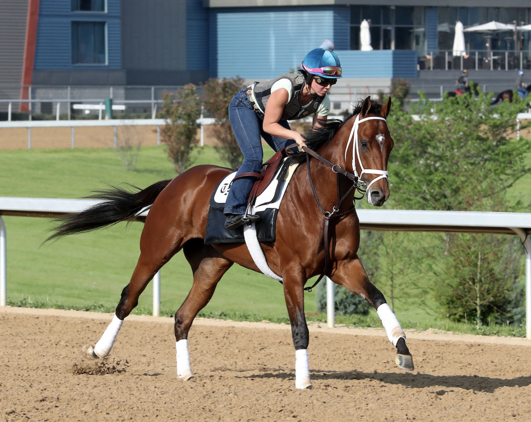 Sensational Saudi Cup: Forever Young Edges Romantic Warrior
