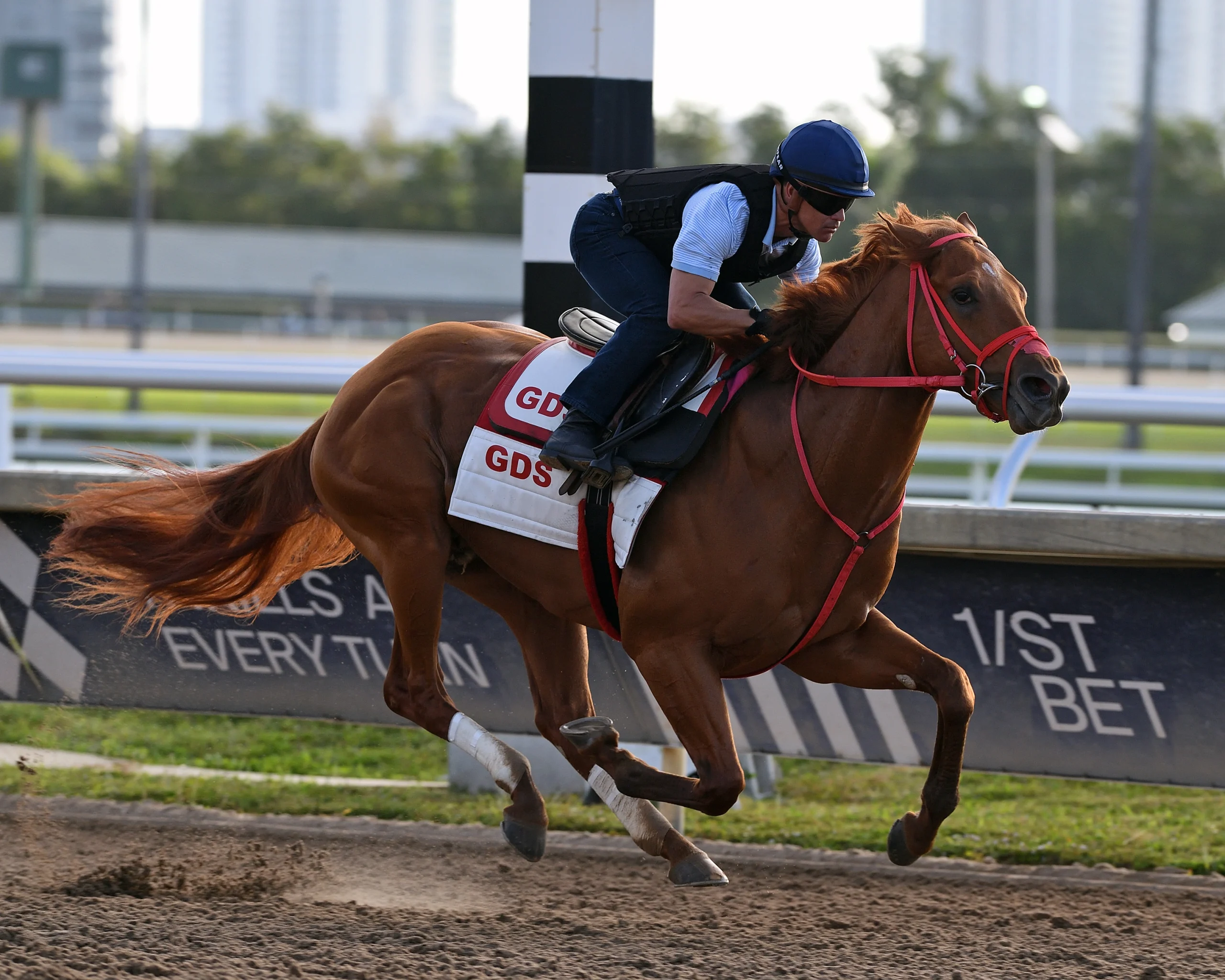 Sensational Saudi Cup: Forever Young Edges Romantic Warrior