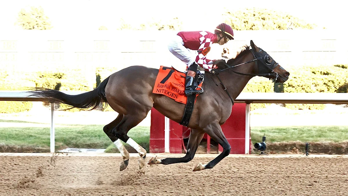 Apple Blossom Handicap 2026: Is Nitrogen Recharged? Horse-by-Horse Picks