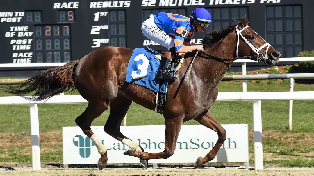 Sensational Saudi Cup: Forever Young Edges Romantic Warrior