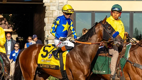 contender litmus test