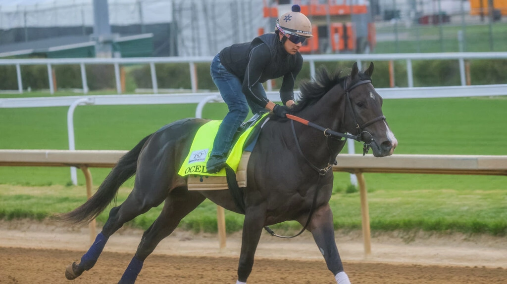 Sensational Saudi Cup: Forever Young Edges Romantic Warrior