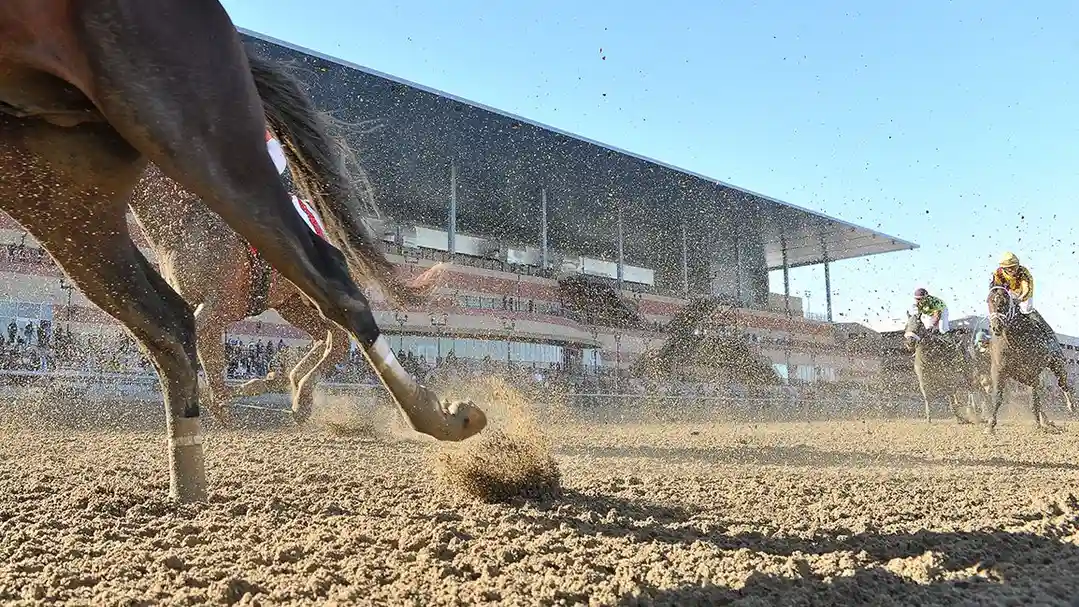 Sensational Saudi Cup: Forever Young Edges Romantic Warrior