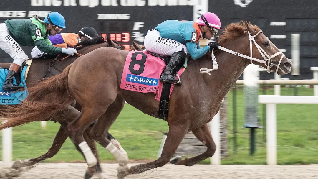 Sensational Saudi Cup: Forever Young Edges Romantic Warrior