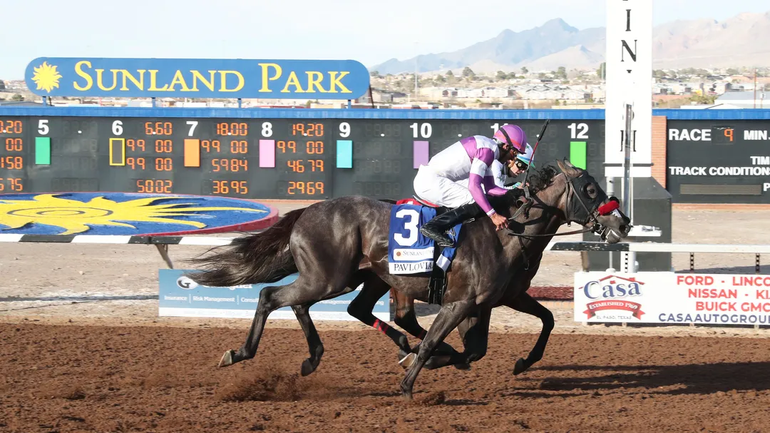 2026 Kentucky Derby Contender Pavlovian