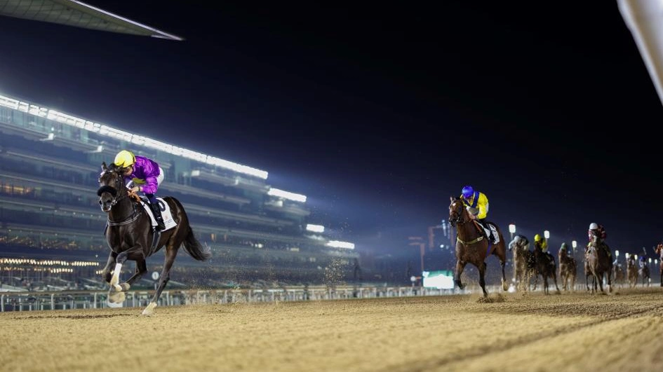Sensational Saudi Cup: Forever Young Edges Romantic Warrior