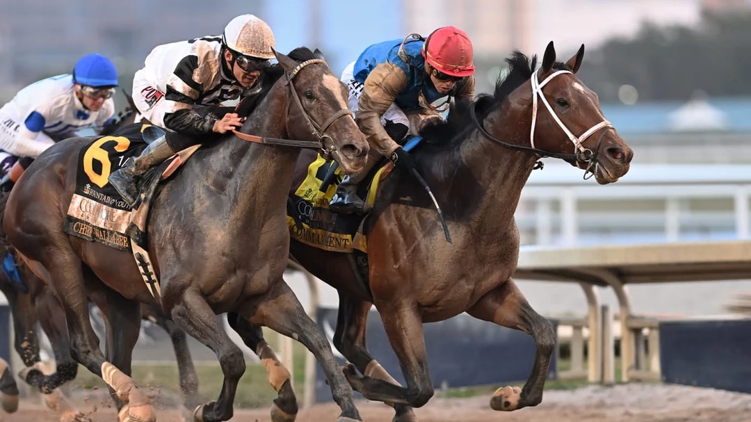 Sensational Saudi Cup: Forever Young Edges Romantic Warrior