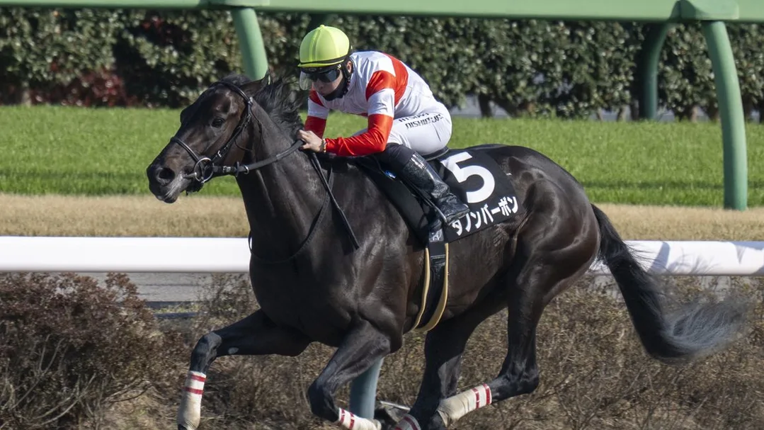 Sensational Saudi Cup: Forever Young Edges Romantic Warrior