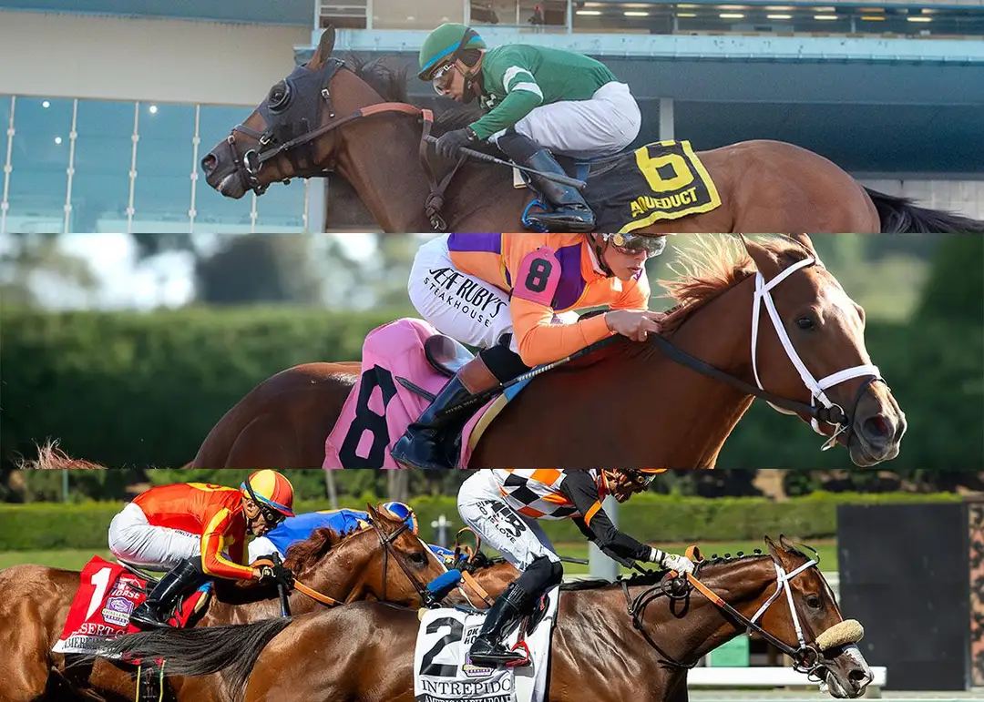 Sensational Saudi Cup: Forever Young Edges Romantic Warrior