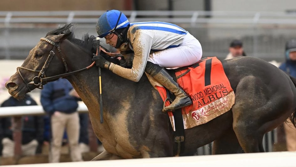 Sensational Saudi Cup: Forever Young Edges Romantic Warrior