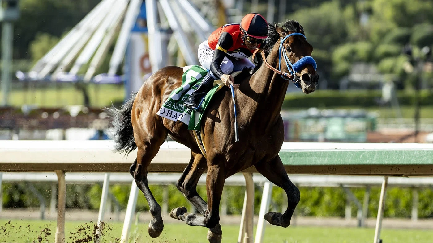Kentucky Derby Betting Strategy: Longshots Worth Including in Every Exotic Ticket in 2026