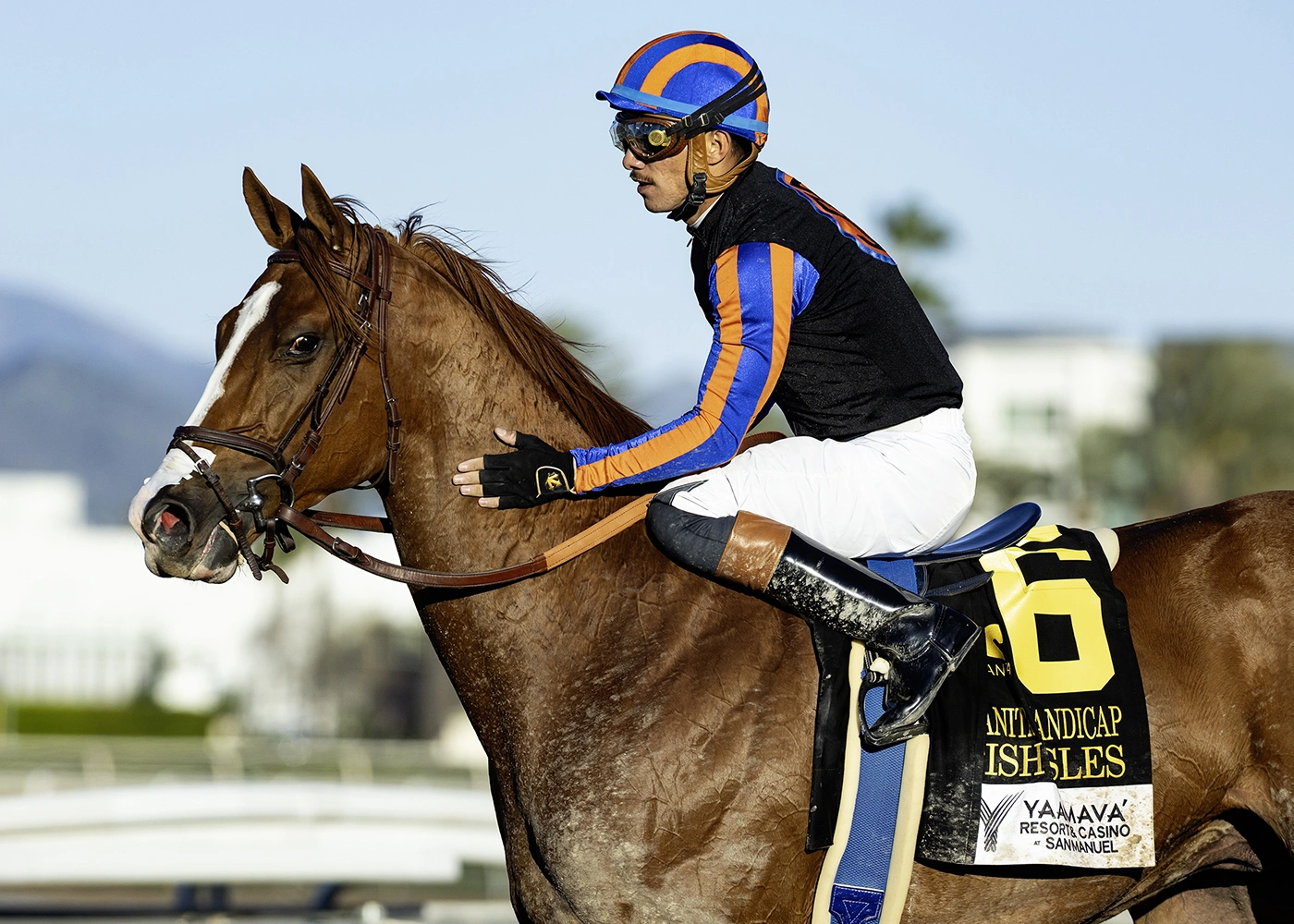 Sensational Saudi Cup: Forever Young Edges Romantic Warrior