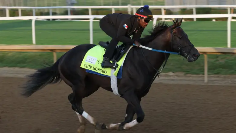 Sensational Saudi Cup: Forever Young Edges Romantic Warrior