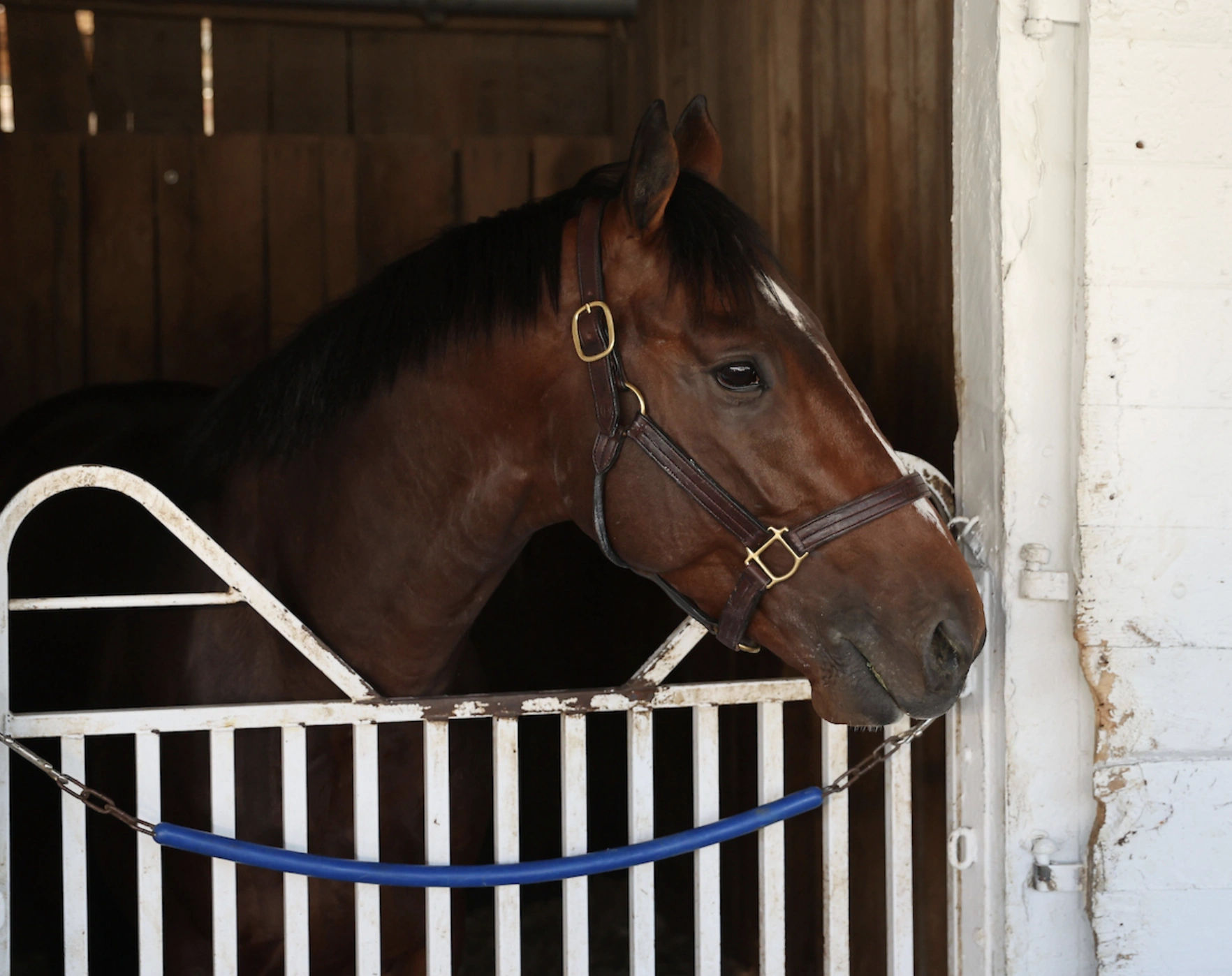 Sensational Saudi Cup: Forever Young Edges Romantic Warrior