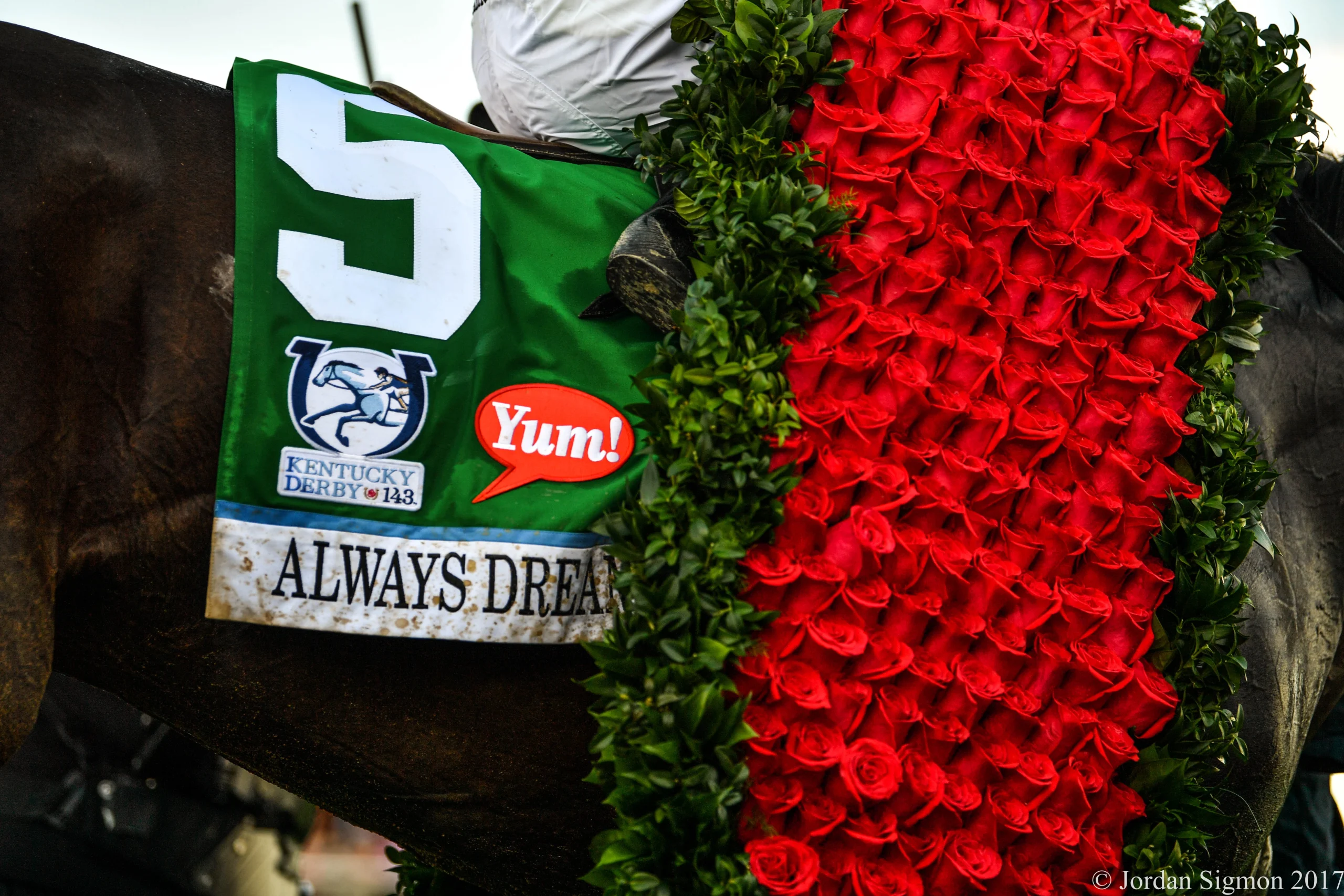 Sensational Saudi Cup: Forever Young Edges Romantic Warrior